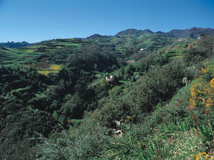 barranco oscuro