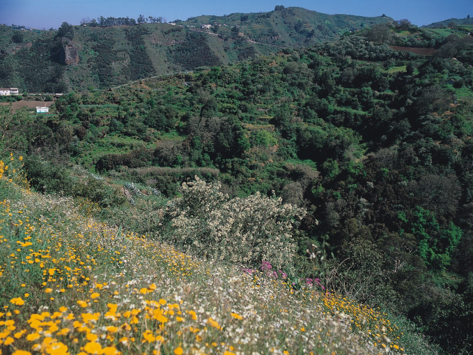 barranco oscuro