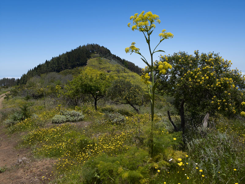 las cumbres