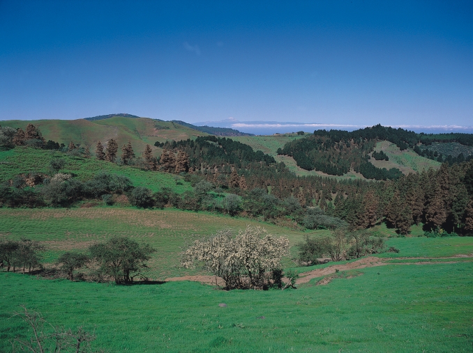 las cumbres