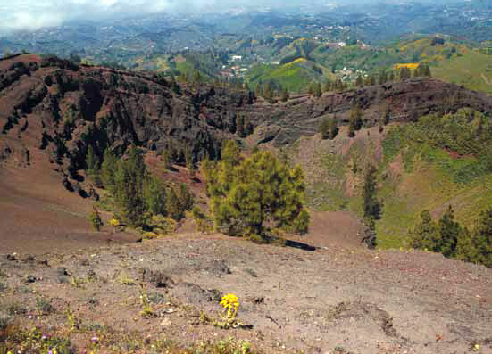 montañón negro