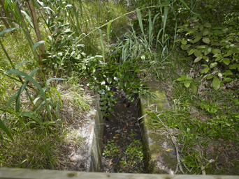 acequia